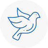 Bird Prevention Langley Mill
